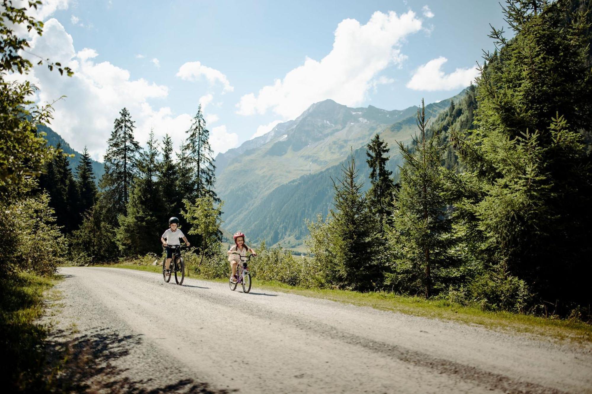 Das Gemuetliche Dorfhotel Kaltenhauser Hollersbach im Pinzgau Ngoại thất bức ảnh